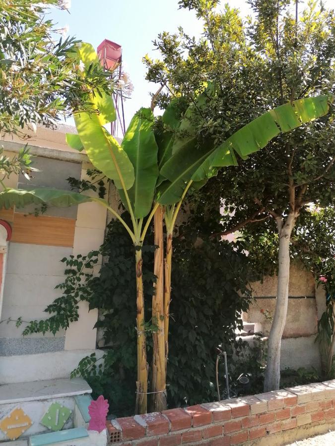 خانيا Villa Dina المظهر الخارجي الصورة