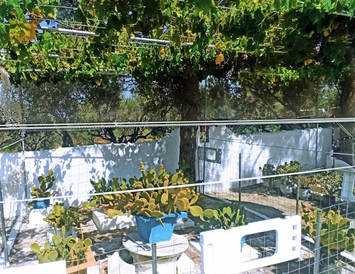 خانيا Villa Dina المظهر الخارجي الصورة