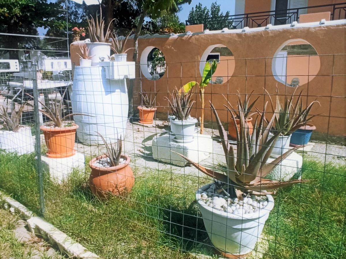 خانيا Villa Dina المظهر الخارجي الصورة